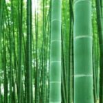 新时代娱乐如何影响我们的社交方式与生活态度 rge8ryo8