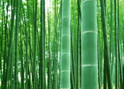 新时代娱乐如何影响我们的社交方式与生活态度