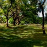 新时代娱乐的国际化发展:走向全球市场的策略 xf2j1ue