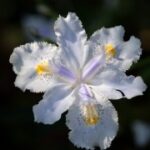 新时代娱乐中的电竞热潮:年轻人的新宠与未来 y9f3ks